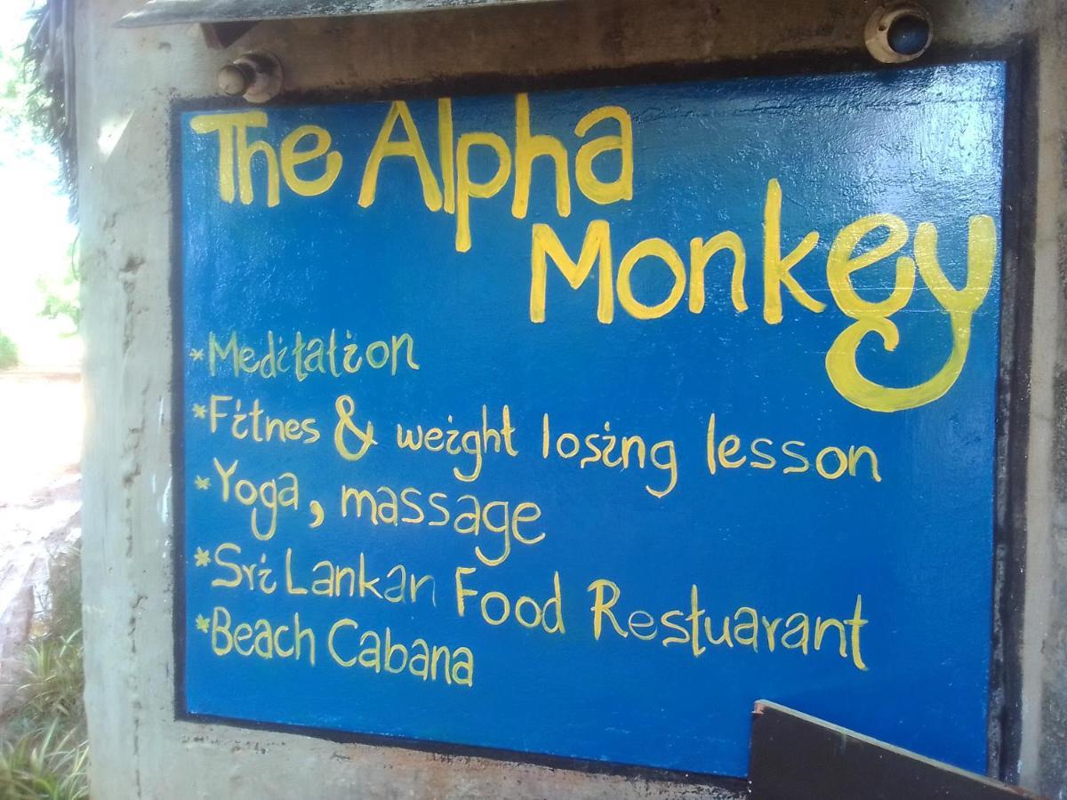 The Alpha Monkey Hotel & Tree House Tangalle Exterior foto