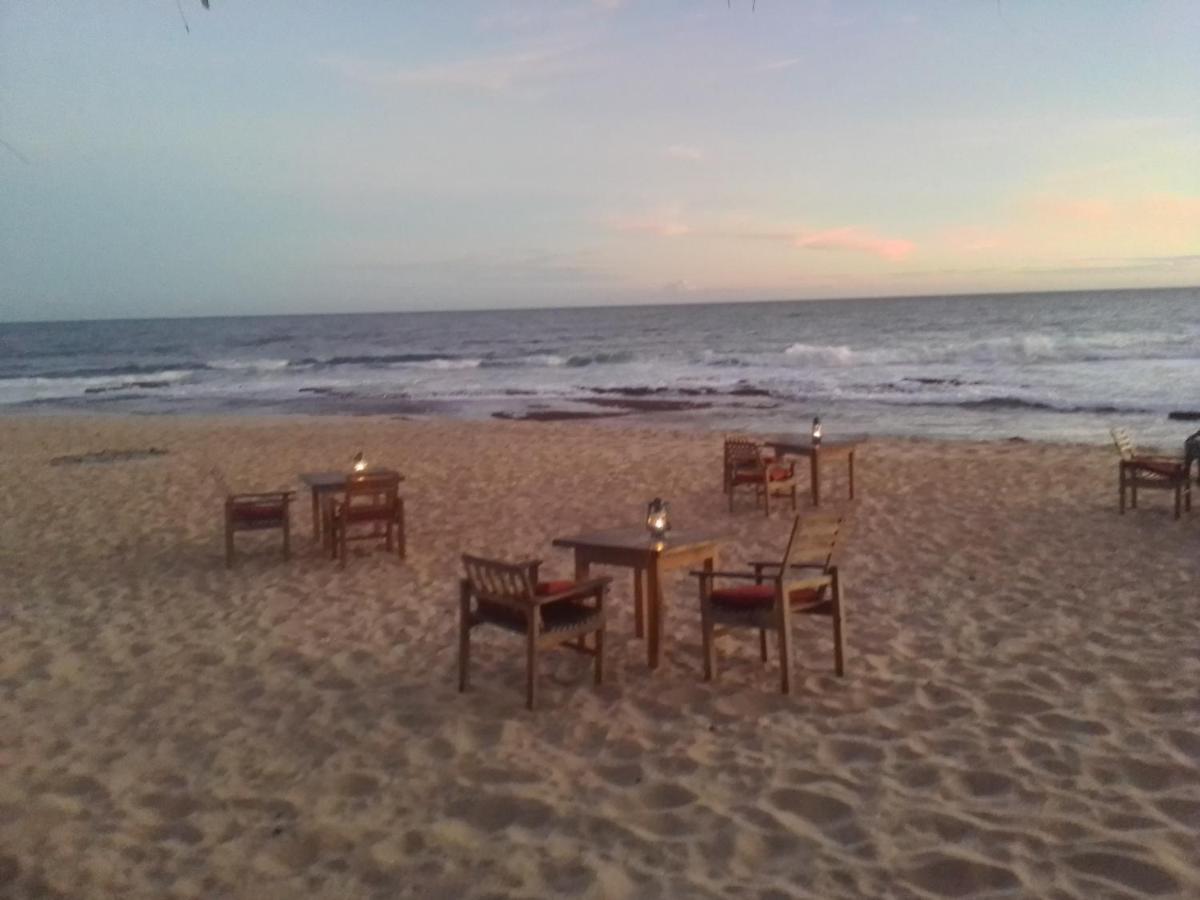 The Alpha Monkey Hotel & Tree House Tangalle Exterior foto