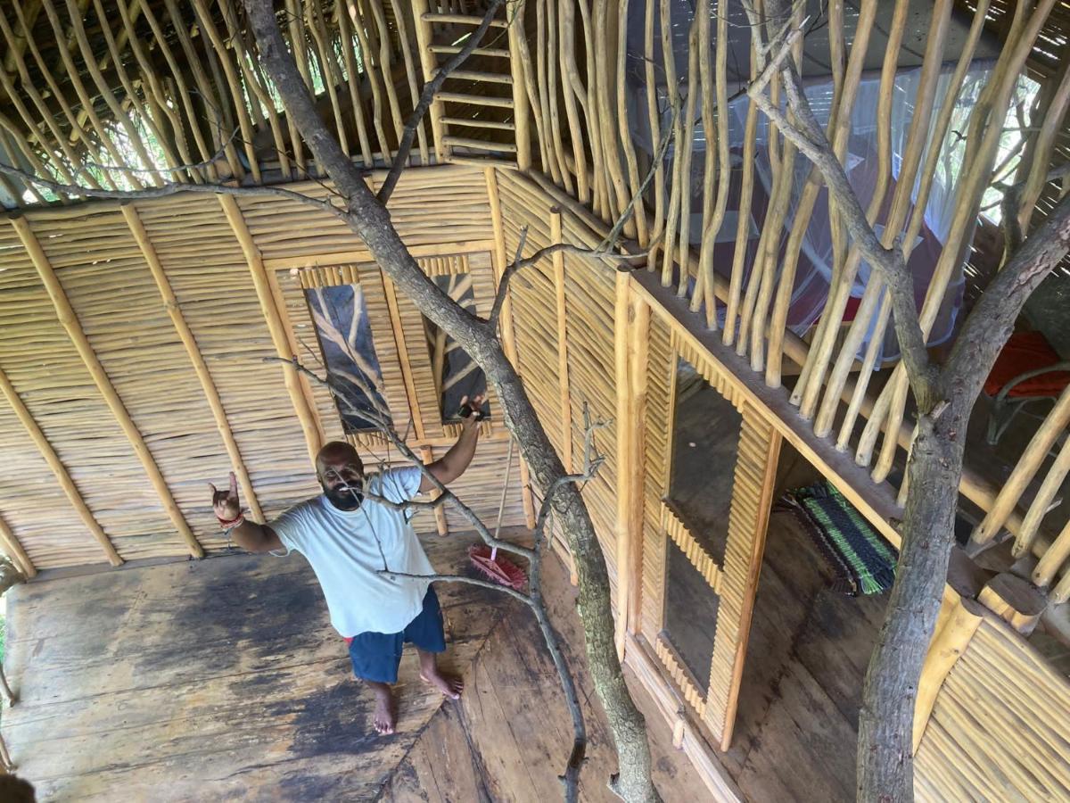 The Alpha Monkey Hotel & Tree House Tangalle Exterior foto