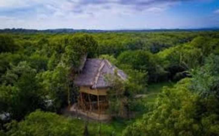 The Alpha Monkey Hotel & Tree House Tangalle Exterior foto