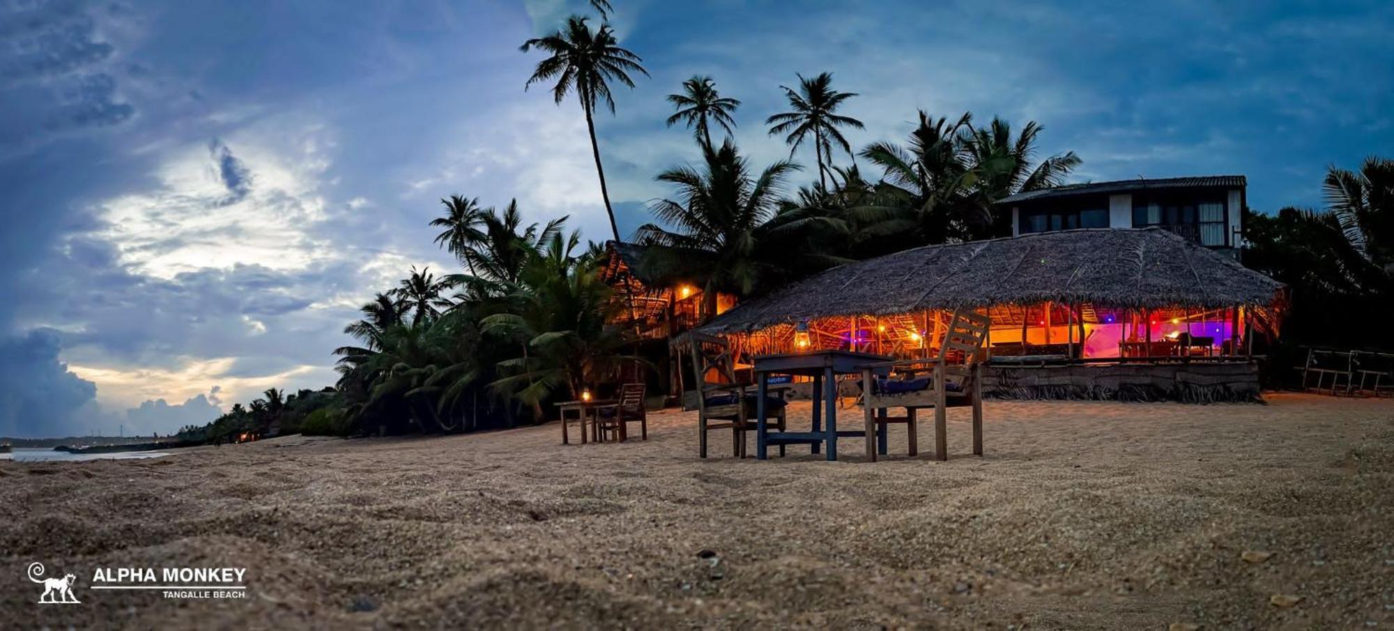 The Alpha Monkey Hotel & Tree House Tangalle Exterior foto