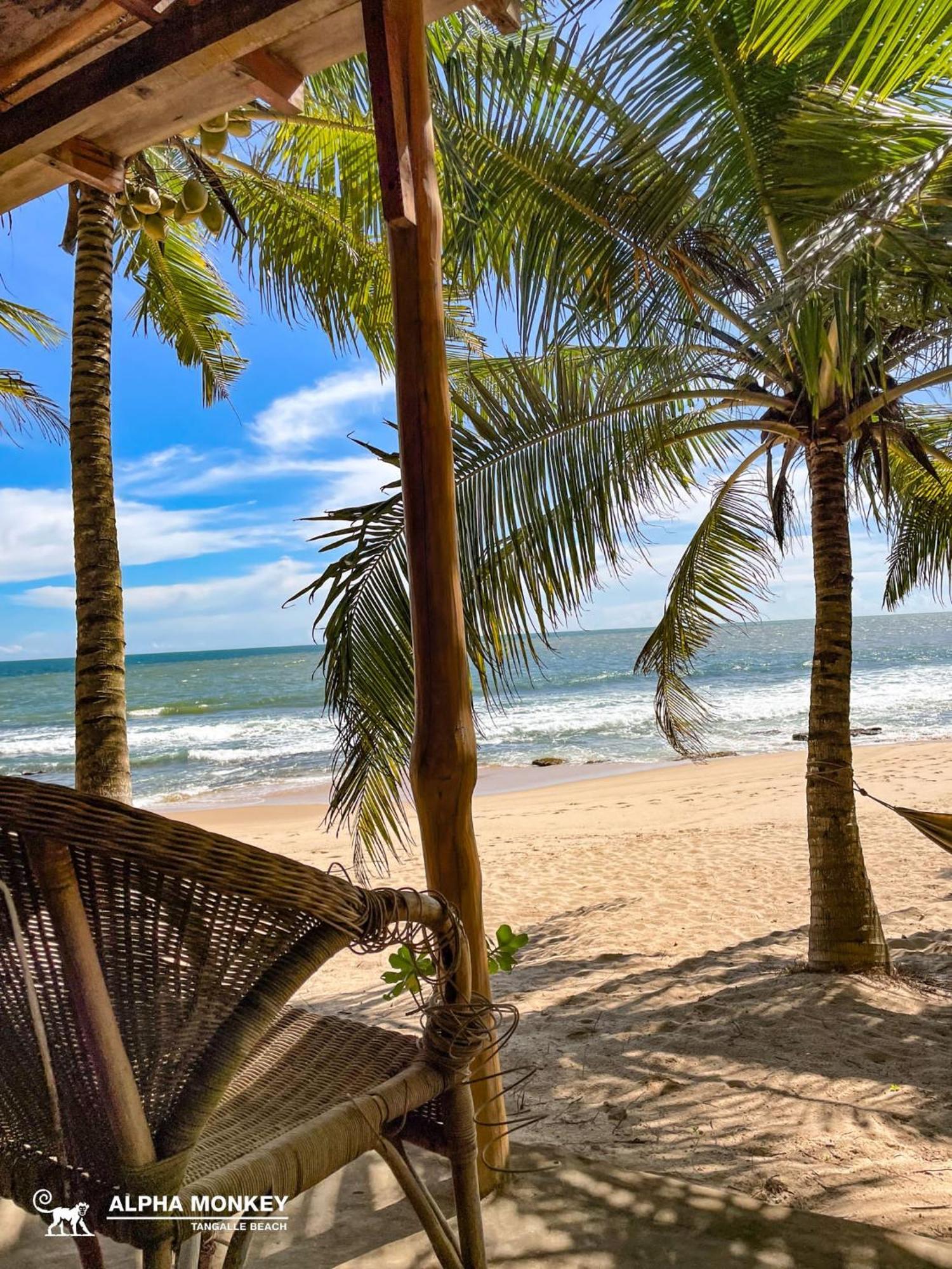 The Alpha Monkey Hotel & Tree House Tangalle Exterior foto