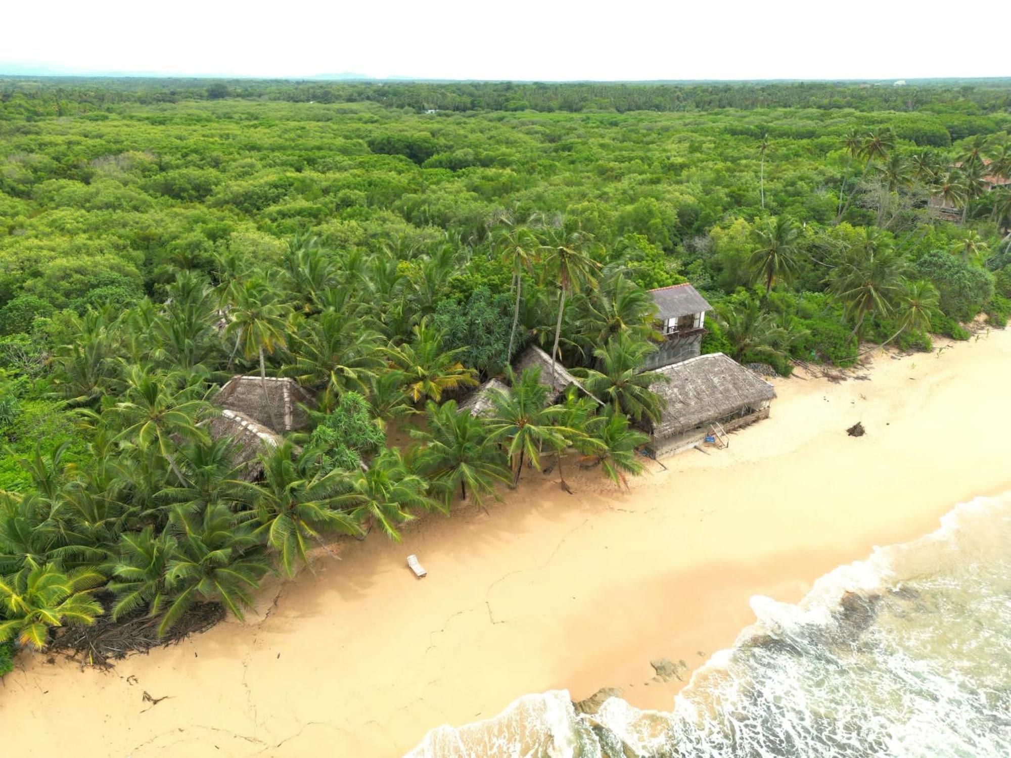The Alpha Monkey Hotel & Tree House Tangalle Exterior foto